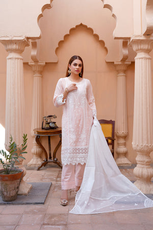 Embroidered lawn dress - ready to wear 3-piece - Threads & Weaves