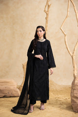 Black 3-Pc's Embroidered Ready to Wear