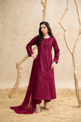 Burgundy 3-Pc's Embroidered Ready to Wear