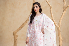 White 3-Pc's Embroidered Ready to Wear